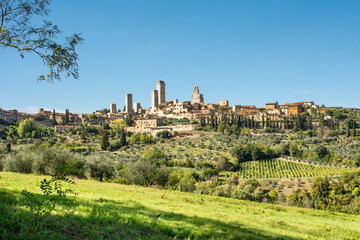 Panoramic view of San Gimignano, Tuscany., with olive orchards  and cypress trees under a blue sky - obrazy, fototapety, plakaty