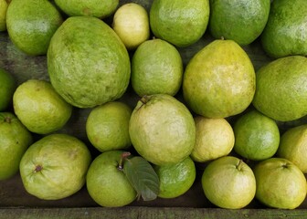 Guava - large amounts of guava fruit, fresh guava fruit, guava fruit in a basket