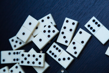 dominoes on a white background