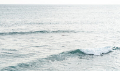 Naklejka na ściany i meble Surfer pośród fal na oceanie na tle zachodu słońca.