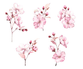 Obraz na płótnie Canvas Set of decorations sakura on white background. Watercolor spring illustration with branches blossoming cherry, flowers, buds and leaves, isolated collection for your design.