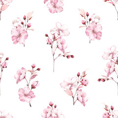 Floral seamless pattern with sakura branches on white background. Watercolor spring illustration with flowers, buds and leaves cherry blossom.