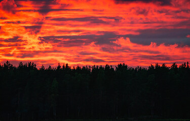 Red sunset with clouds over dark forest