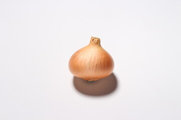 onion head on white background with stiff illumination isolated