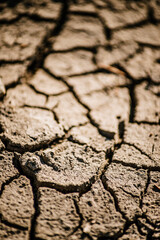 dry cracked earth