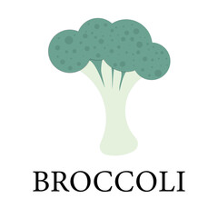 Broccoli icon vector. filled flat sign, solid colorful pictogram isolated on white, logo illustration.