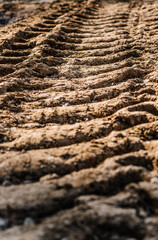 tire tracks in sand