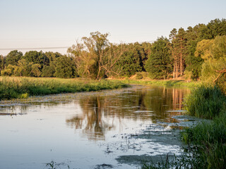 Fototapeta na wymiar Spreewald river
