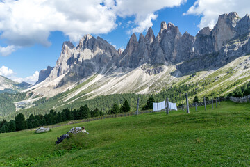Fototapeta na wymiar Dolomites Seceda