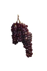 Ripe red grape. Pink bunch with leaves isolated on white. With clipping path. Full depth of field.
