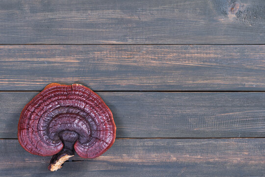Ganoderma lucidum mushroom on wood table