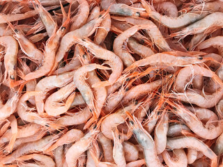 Fresh organic shrimp at the fishing village at the street food festival. Sea fresh food. Unperfect shrimps. A lot of shrimp on the background. Eco food.