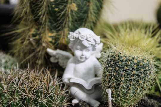 Un &aacute;ngel blanco en un cactos verdes 
