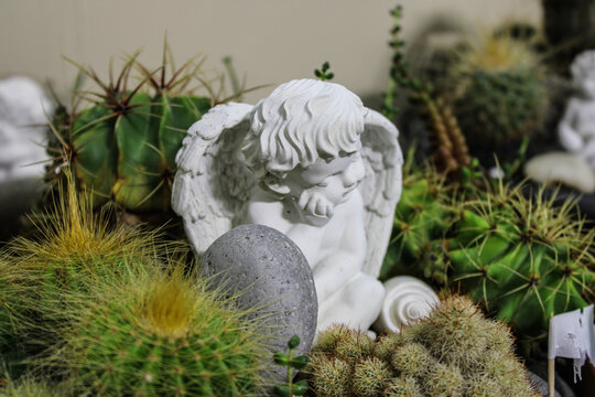 Un &aacute;ngel blanco en un cactos verdes 