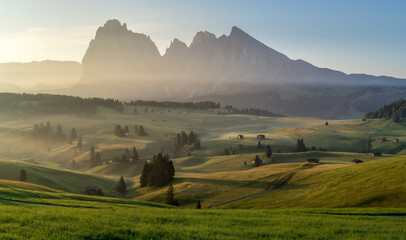 Dolomites Alpe di Siusi