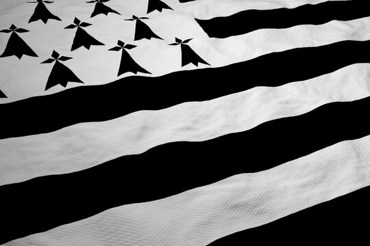 Full frame close-up on a waving Breton flag (Gwenn ha du) in 3D rendering.
