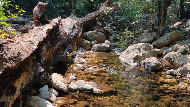 Tada Waterfalls, Andhra Pradesh, India