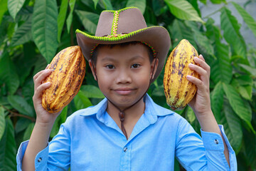 Fresh cocoa pods in the hands of farmers