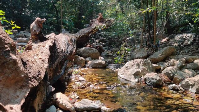 Tada Waterfalls, Andhra Pradesh, India