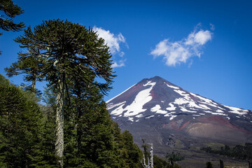 Fototapeta premium mountain in autumn