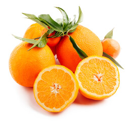 Oranges isolated on white. High quality photo.