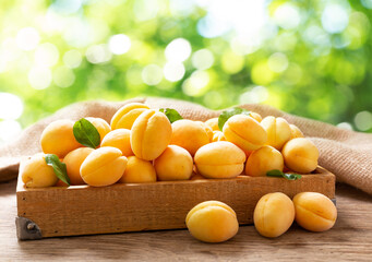 fresh apricots in a wooden box