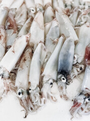 Raw fresh shellfish close-up on the eco market. Street food on white background. Soft focus