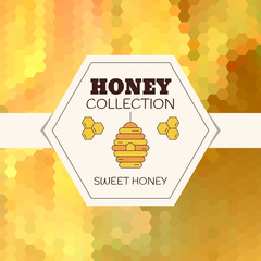 Organic honey collection logo, label, tags design elements.