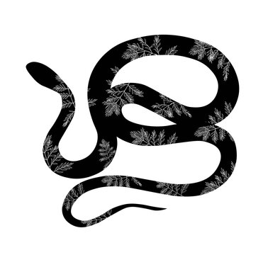 Snake silhouette illustration. Black snake isolated on white background. Vector tattoo design