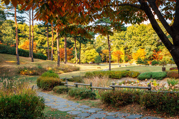Gwanggyo Central Park at autumn in Suwon, Korea