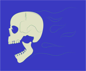 skeleton head color distortion vector