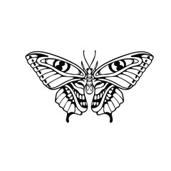 Fototapeta na wymiar Black and white butterfly and face. Tattoo, vector illustration. Black and white tattoo. Beauty and fashion