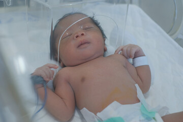 Baby in infant incubator. newborn