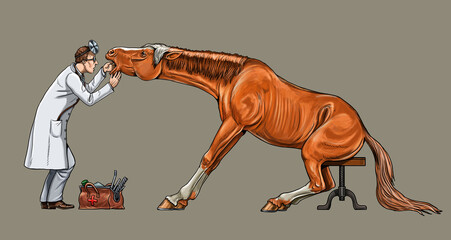 Veterinarian examines the horse. Dentist for the horse. Digital drawing. © Lunstream