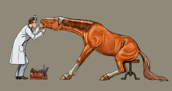 Veterinarian examines the horse. Dentist for the horse. Digital drawing.