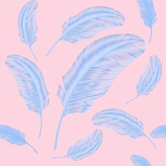 Fototapeta na wymiar Seamless pattern, realistic feather. Blue elements on pink background. Elegant feather 