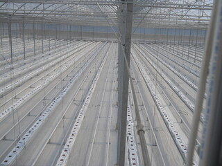 greenhouse, glass greenhouse