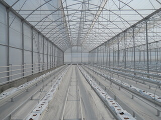 greenhouse, glass greenhouse