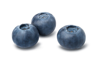 Blueberries isolated on a white background with clipping path. Close-up.