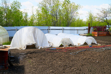 Handmade greenhouse in the garden