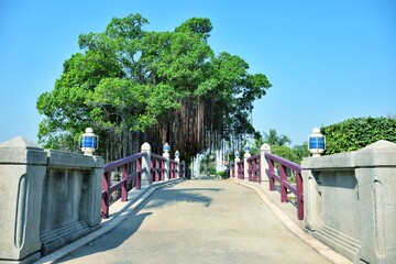 a bridge over the pond