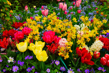 fresh lawn with flowers