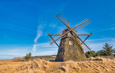 Fototapeta premium Lygnmoellen, wind mill Thacted with Heather in Western Denmark