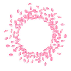 Sakura petals falling down. Romantic pink bright medium flowers. Thick flying cherry petals. Frame c