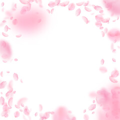 Fototapeta na wymiar Sakura petals falling down. Romantic pink flowers vignette. Flying petals on white square background
