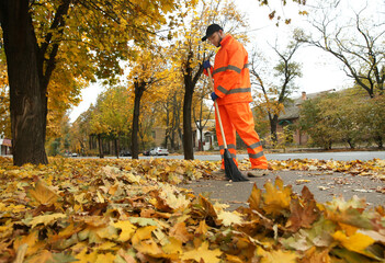 Street cleaner sweeping fallen leaves outdoors on autumn day