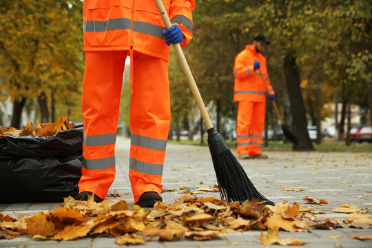 Street cleaners sweeping fallen leaves outdoors on autumn day, closeup