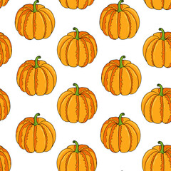 Seamless pattern from orange pumpkin. white background. Hand drawing. Vector illustration.