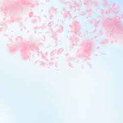 Sakura petals falling down. Romantic pink flowers semicircle. Flying petals on blue sky square backg