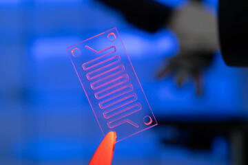 Lab on a chip microfluidics device